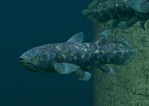 Coelacanth Endless Ocean Wiki Fandom