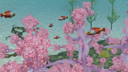 There are two different anchor decorations for the Private Reef; one of them can be seen near the back of this picture.