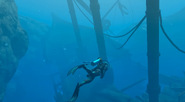 Shipwreck