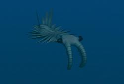 Anomalocaris.png