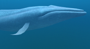 The Ancient Mother in Endless Ocean.