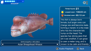 Creature Log Creature View