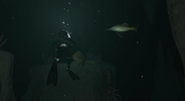 Deep Ocean Trench