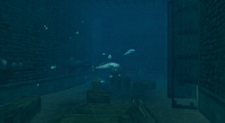 Treasure Vault 2