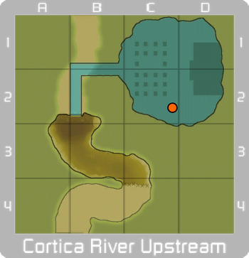 Cortica River Upstream Mysterious chest