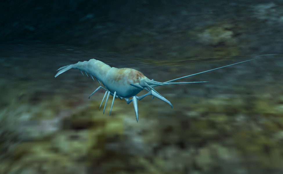 Deep-Sea Blind Shrimp, Endless Ocean Wiki