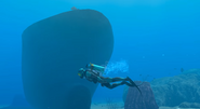 Shipwreck