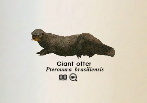 Giant Otter Endless Ocean Wiki Fandom Giant Otter Endless Ocean Wiki Fandom