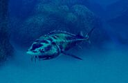Lady Dorthea, as seen in Endless Ocean 2.