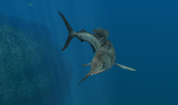 Amazon.co.jp: The larvae of indo-Pacific coastal fishes