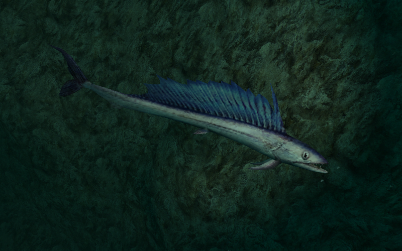 lancetfish