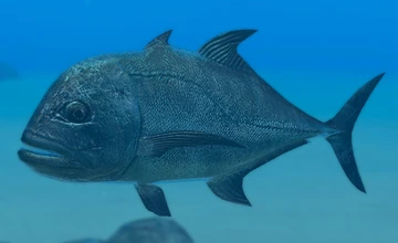 リール GIANT TREVALLY 360?cb=20241008211143