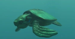 250?cb=20240522223437