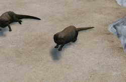 Giant Otter Endless Ocean Wiki Fandom Giant Otter Endless Ocean Wiki Fandom