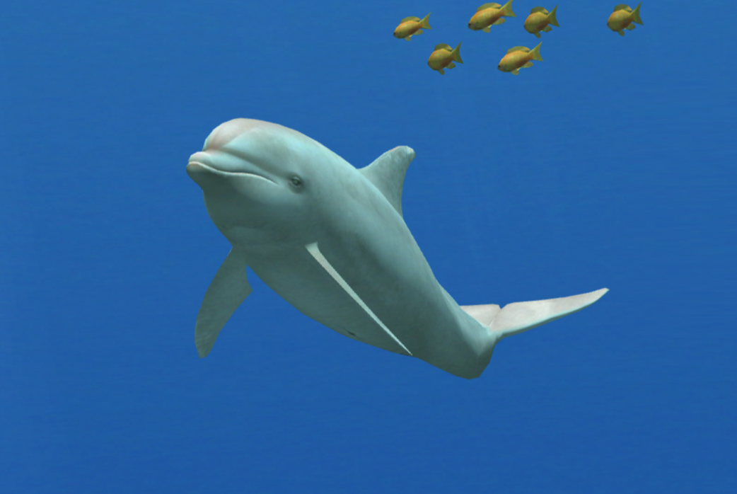 Bottlenose Dolphin Partner | Endless Ocean Wiki | Fandom