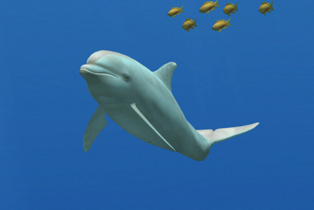 albino dolphin