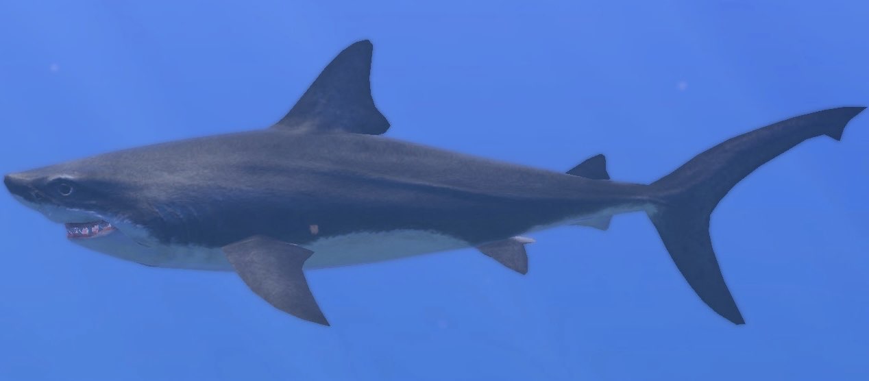 Great White Shark | Endless Ocean Wiki | Fandom