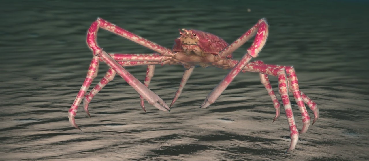 Japanese Spider Crab | Endless Ocean Wiki | Fandom