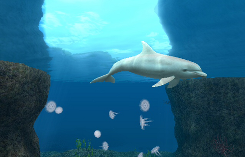 Endless Ocean Wiki