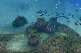 EO2AquariusCorner