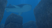 Ruins Maze Whale Shark