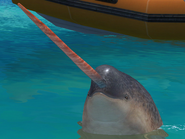 Narwhal Partner Horn