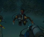 GG in his diving gear.