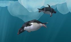 Adelie penguin 様オーダー Penguins-cover+scan+copy.png?