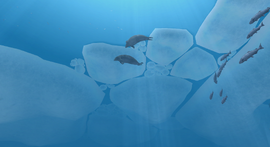 Drift Ice 1