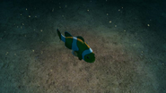 A false clown anemonefish in an Abyss zoom. These fish do not appear in such zooms in the final game.
