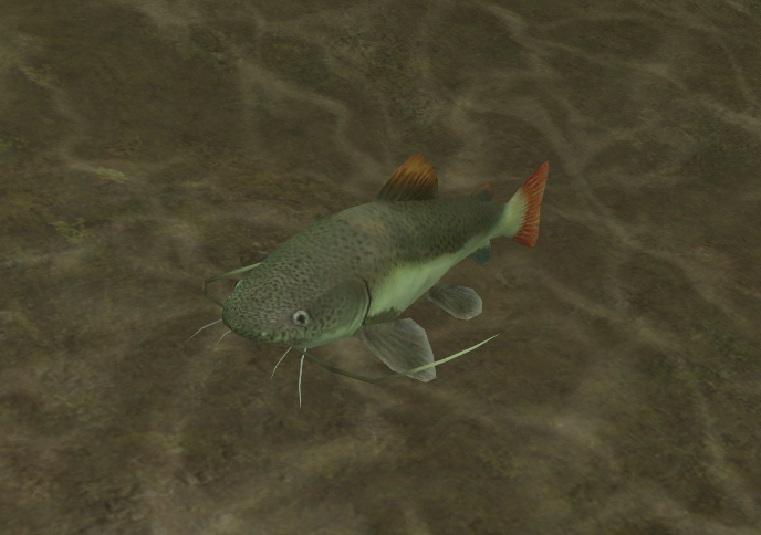 Redtail Catfish, Endless Ocean Wiki