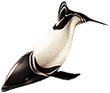 Commerson's dolphin png.png