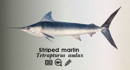 The Marlins Have Never Had a Truly Dominant Closer - Fish Stripes