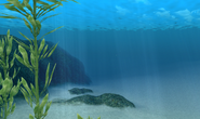 The exit from Deep Hole back out into Gatama Atoll.