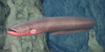 Electric Eel | Endless Ocean Wiki | Fandom