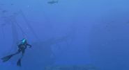 Shipwreck