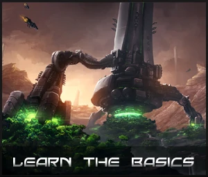 The Basics