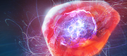 Hero Iria Glies.Warr1B4.png