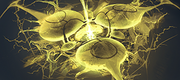AmoebaHero05Wide.png