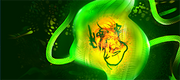AmoebaHero03Wide.png