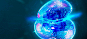 AmoebaHero04Wide.png