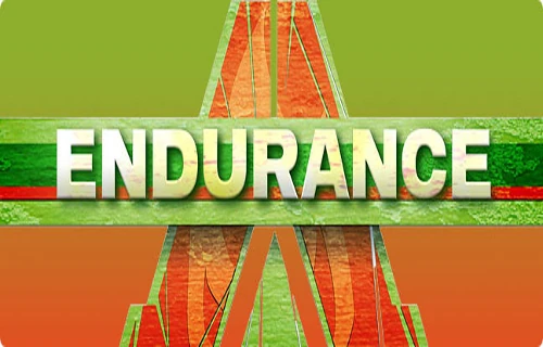 Endurance Wiki