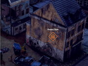 General Store 2.jpg