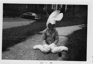 Bunny
