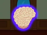 Big Brain
