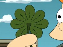 Seven leaf clover