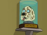 Checkers' head