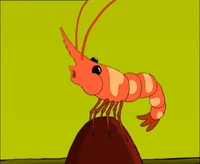 Windyshrimp