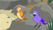 Fry and Leela Birds