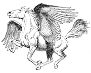 Pegasus